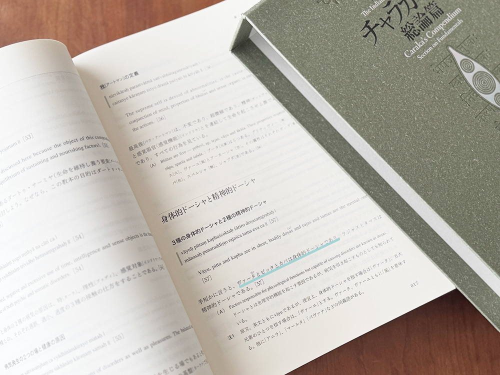 はじめてのアーユルヴェーダの基本用語ガイド